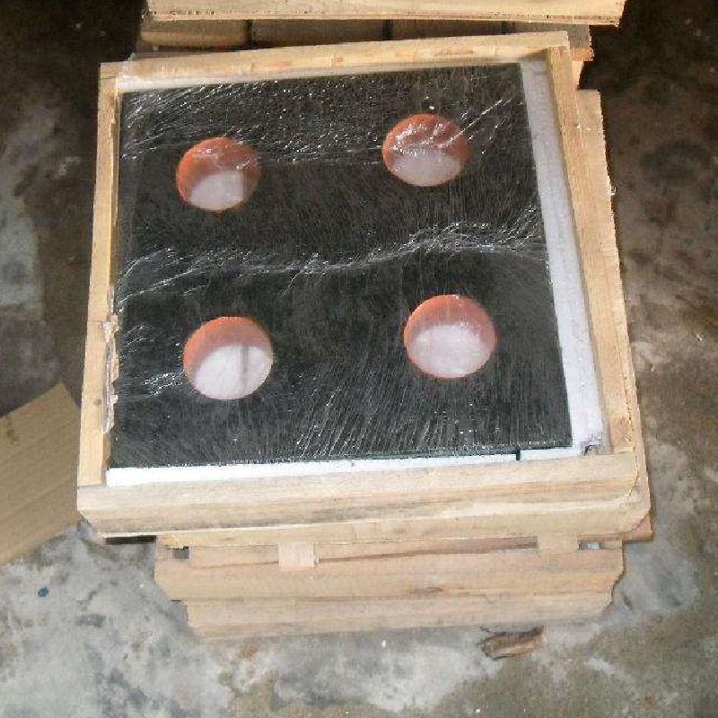 Penguasa Pemeriksaan